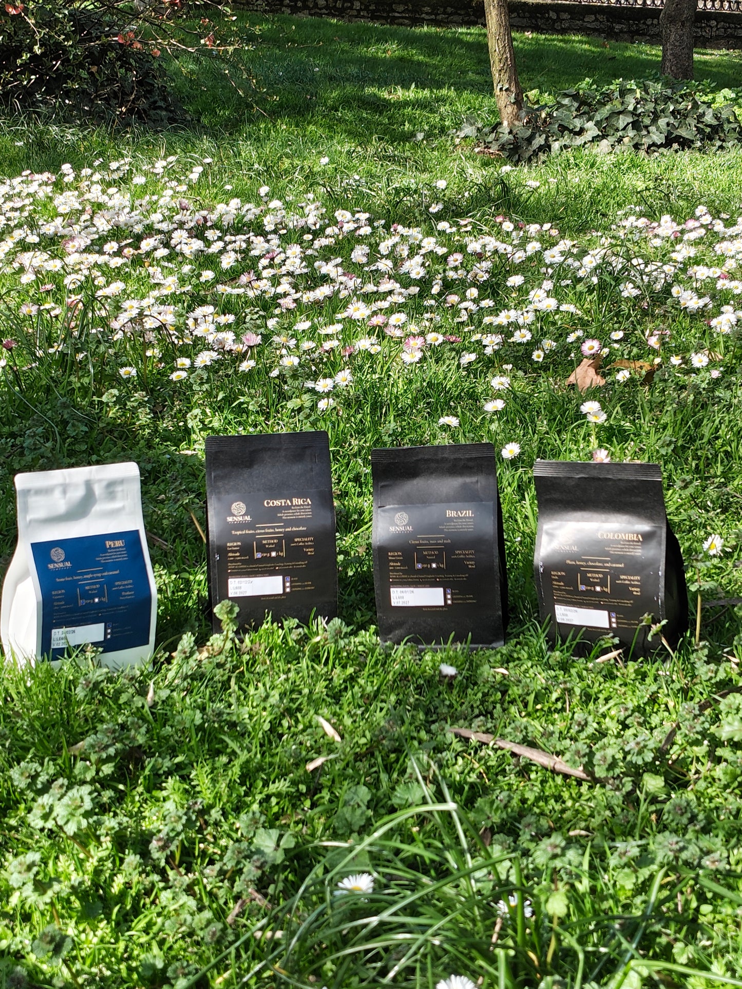 Coffee bags on grass with flowers in the background