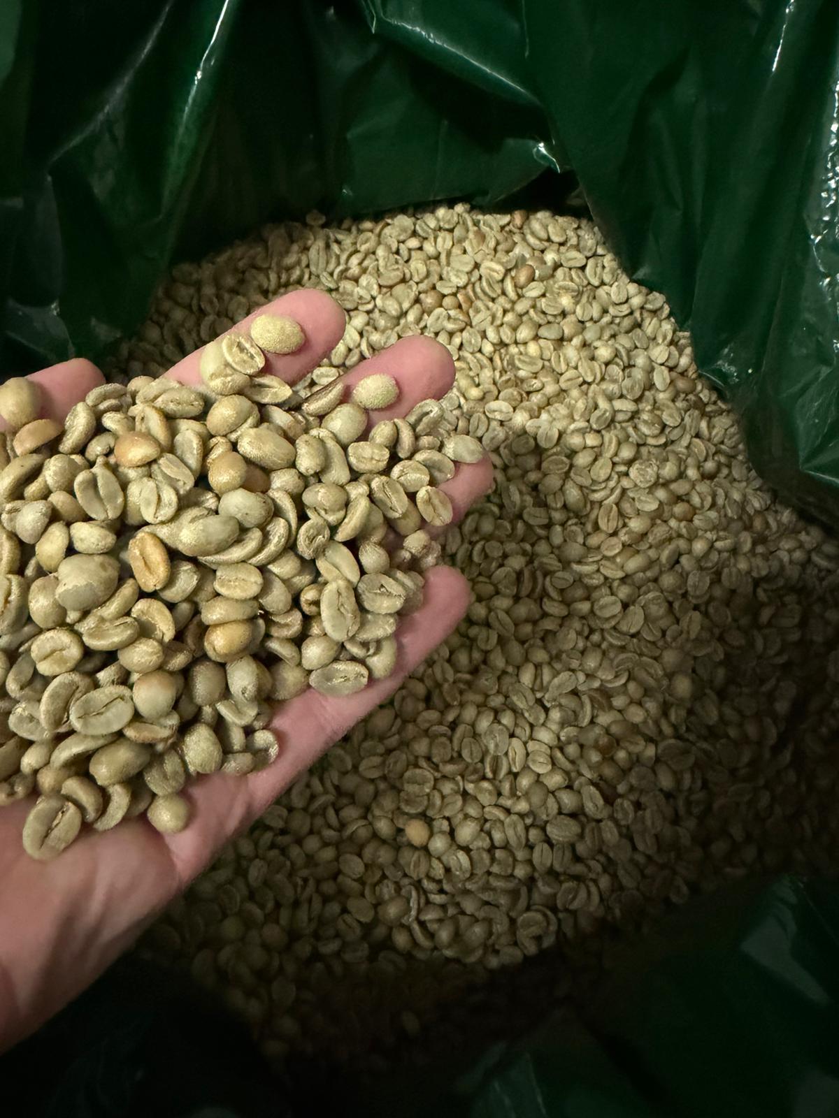 Sensual Coffee PERU, Cajamarca (natural) — Sacred Ritual