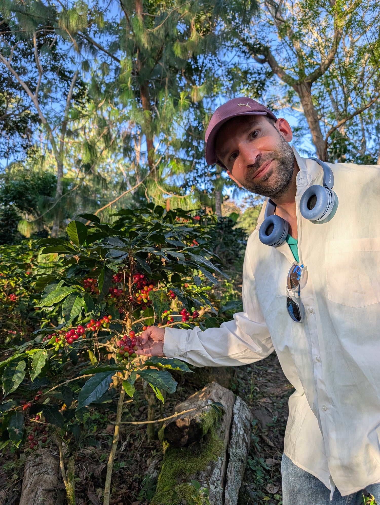 The picture shows Samuel Ginglseder in Villa Rica / Peru with a coffee plant.