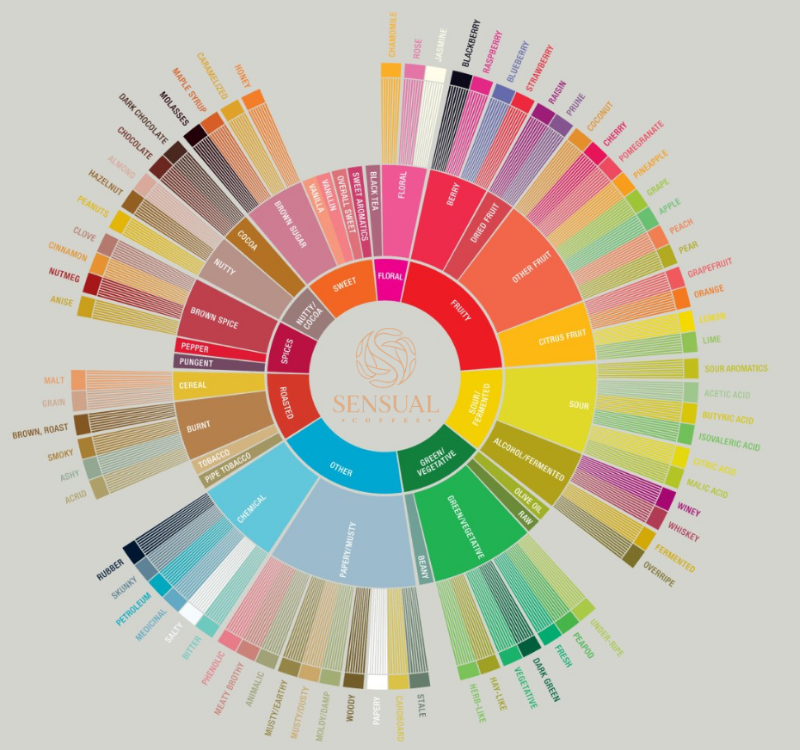 The image shows all the different coffee flavors and is used to categorize them.