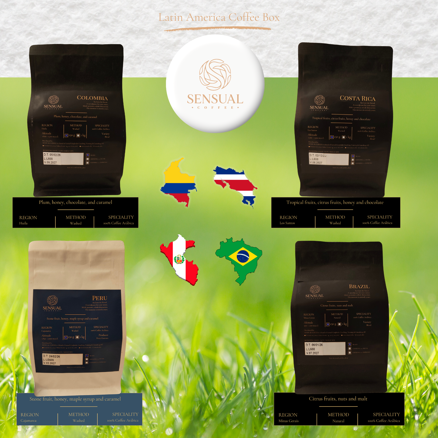 Coffee bags from Latin America Coffee Box with country flags on a green background
